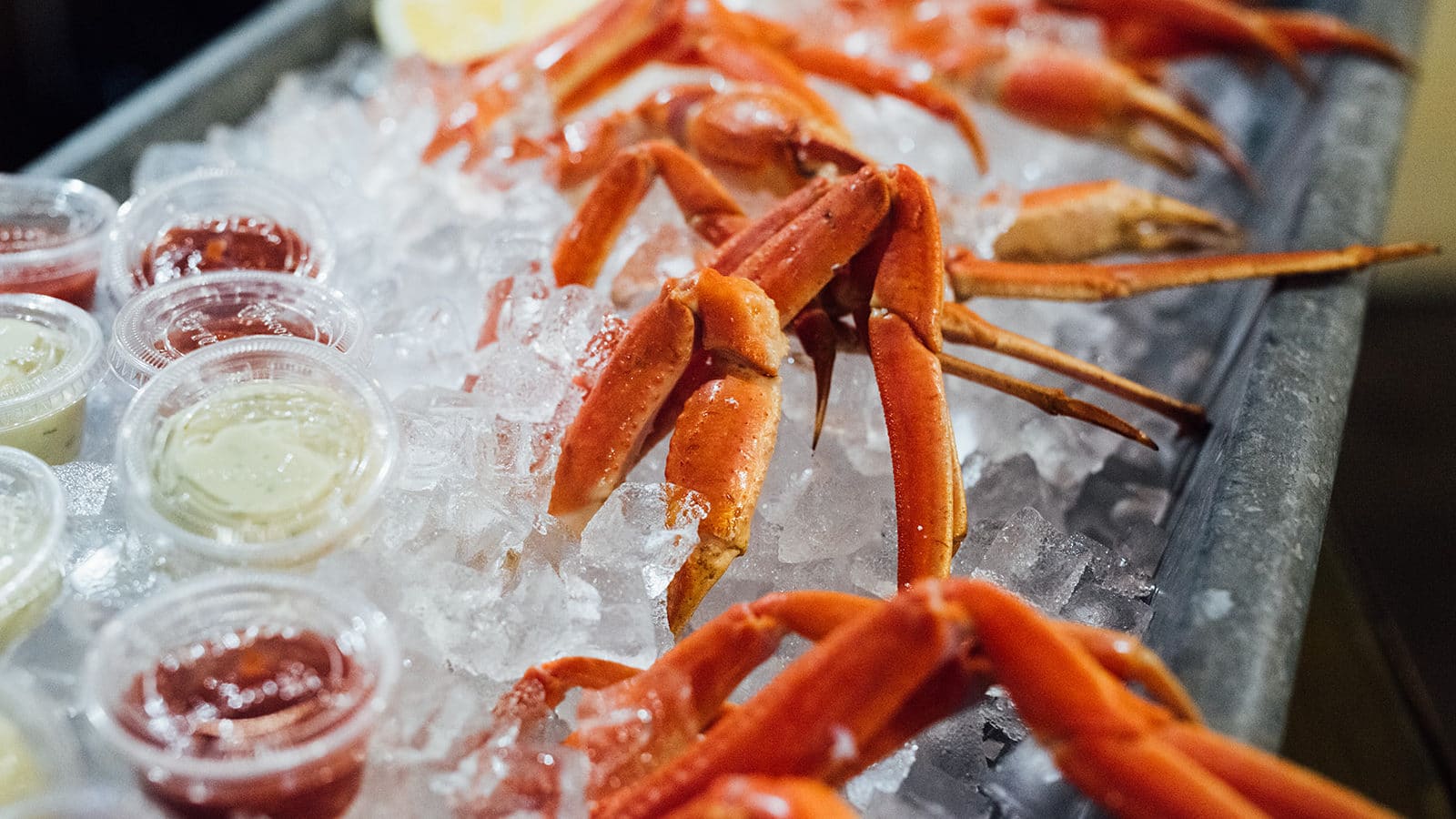 crabe des neiges